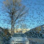 Be Generous With Your Ideas